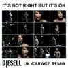 DiESELL SUNNY Vs WHITNEY HOUSTON - Whitney Houston - It's Not Right But It's Ok (UK GARAGE DS REMIX)